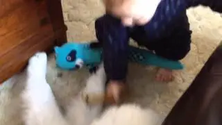 Feeding Kora