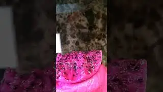 sakto yung vr 😂 #asmr #asmrsounds #mukbang #dragonfruit #youtubeshorts #ytshorts #youtube