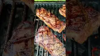 Ya Se Armó La Carnita Asada🔥