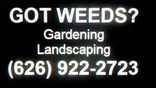 LANDSCAPING, GARDENER, Calico, Newberry Springs, Yermo, Hodge, Hinkley, Lenwood, Helendale