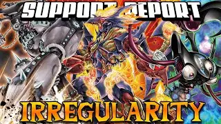 Support Report 2023 - Part 2: Irregularity