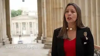Comisión Legal para la Protección de los Derechos de comunidades negras o población afrocolombiana