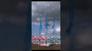 Пара наняла самолёты для определения пола