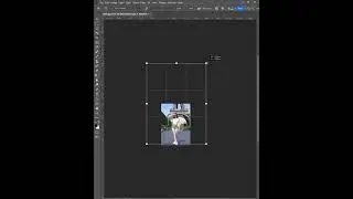 Photoshop Ai -Tutorial 