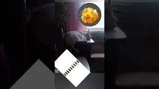 Спящий окорочок 🍗😻