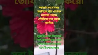 সুরা ইখলাস#shorts#short#shortsfeed