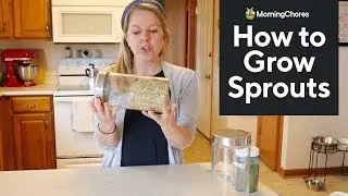 How to Grow Sprouts at Home