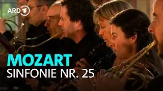 W.A. Mozart: Sinfonie Nr. 25 g-Moll KV 183, 1. Satz | Freiburger Barockorchester | BR-KLASSIK