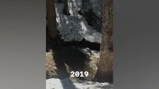 Winter time in a VW Vanagon Camper