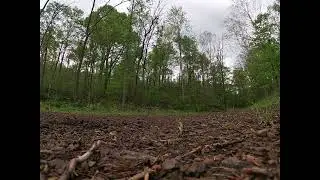 Sounds around farm road