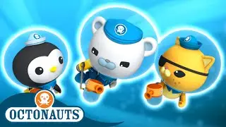 Octonauts - Animal Sea Adventurers | 