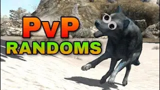 The Wolf - PvP Randoms