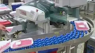 Автомат Elixa Mega  упаковка мяса на лотках в стрейч-плёнку
