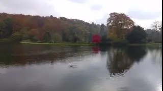 Red tree, Stourhead, UK, 2016 - 4K