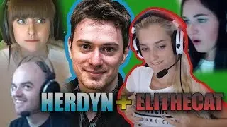 My random oddshot #12 | Herdyn by zasunul do elithe cat????