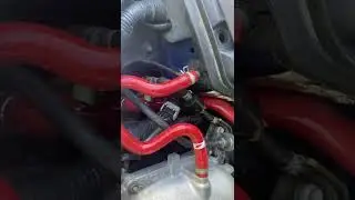 Engine Rattle