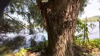 Doğa ve Huzur