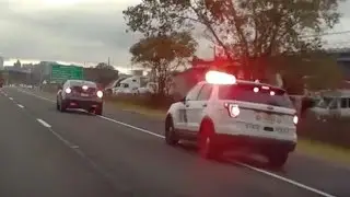 Idiots In Cars | November 2023