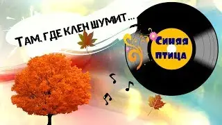 ТАМ ГДЕ КЛЕН ШУМИТ...ГР.СИНЯЯ ПТИЦА/ COVER НА СИНТЕЗАТОРЕ