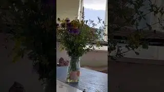 Лето биолога ☀️ | полевая практика 🌱| жизнь👩‍🔬tg: MIVI выбирает цвет.. #bio #студент