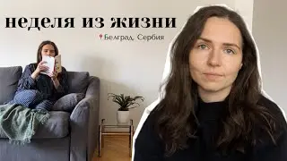 влог из Белграда I неудачный собез, ветеринар, корейский маркет