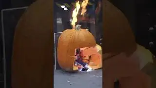 4 Knife wielding robots fight a flaming pumpkin