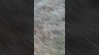 Парная работа Эпаньоль Бретона