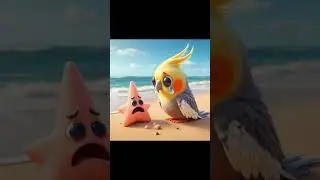 Cockatiel and friends 