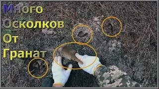 Лес Который еще никто не копал. Следы Сражений ВОВ.