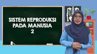 Sistem Reproduksi Pada Manusia 2 - Biologi Kelas X