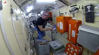 Taking samples from panels on the ISS //Work on the ISS//