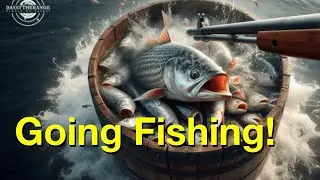 DATR Rimfire Challenge - FISH IN A BARREL
