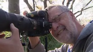 De mooiste foto's van een kwart eeuw Blijdorp