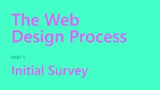 Initial Survey | The Web Design Process