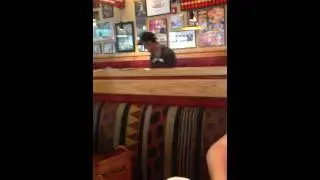Amazing busboy! Incredibly fast!