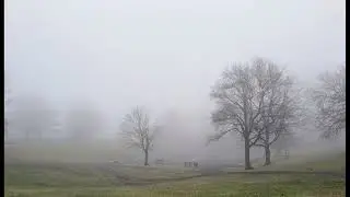 Туманный день.