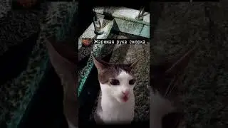 Не люблю снорков.... но они гады вкусные.... 