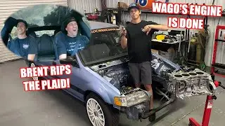 Finding Out What Happened To Wago's Built Engine (Cooked)