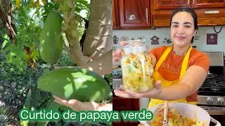 Curtido de papaya verde