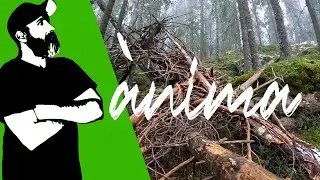 Ànima I & II (16/12/2020 update) land art project