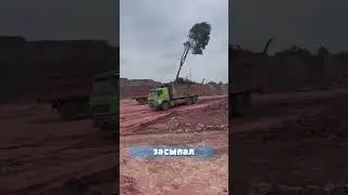 Planted a tree in the truck