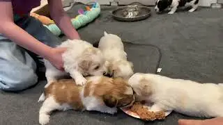 First Experiences with/ Food and Water