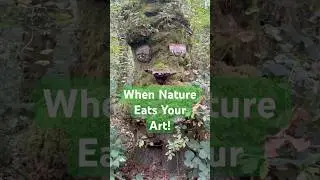 When Nature Eats Your Art!