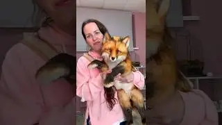 Плюсы реалистичных игрушек❤️