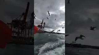 Kadıköy-Eminönü Vapur