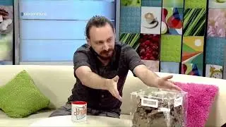 Выпуск про эмбий на телеканале Губерния