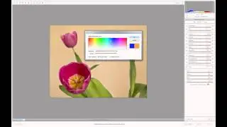 קורס פוטושופ לצלמים Lightroom/ACR adjustment brush |עיבוד קבצי raw 14