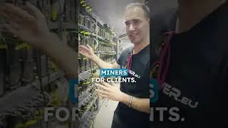 CRYPTO MINING 🔥 Do you know how much can you earn?⛏️🤑 #crypto #btc #cryptomining