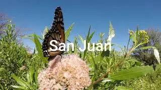 Nikizanga - San Juan Argentina -
