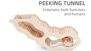 Niteangel Hamster House